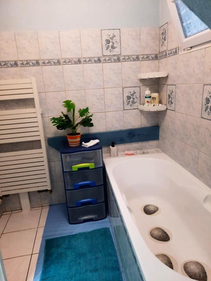 Appartement Spacieux A Ingersheim Avec Vue Sur Jardin 100 M² Exterior foto